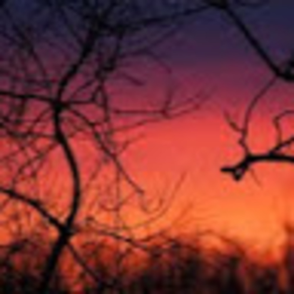 Meet your Posher, Faith